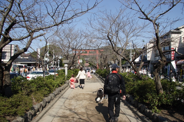 f0034602_22254598.jpg