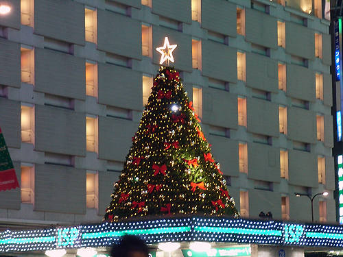 a0068306_145659.jpg