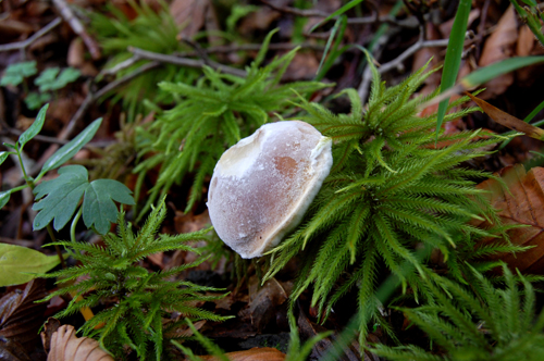 d0015006_937554.jpg