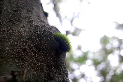 d0015006_9473199.jpg