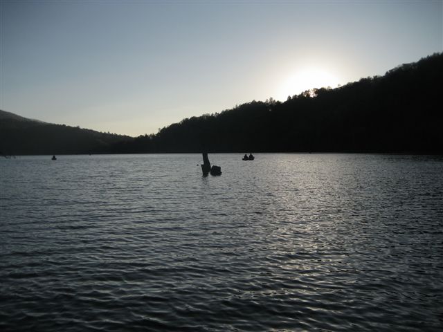 d0126708_351430.jpg
