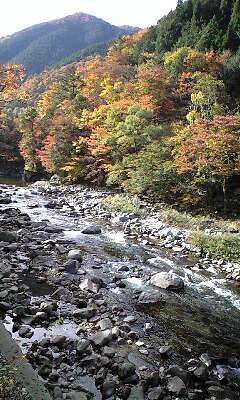 f0135908_1734377.jpg
