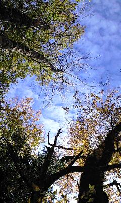f0135908_1734389.jpg