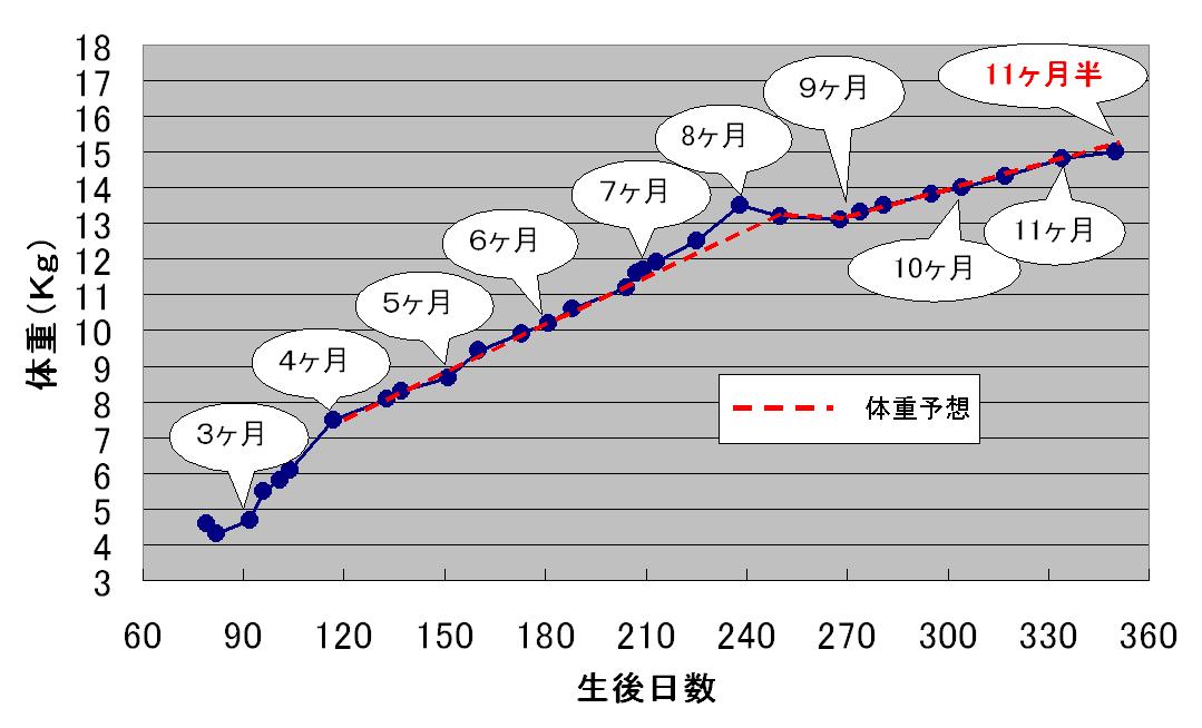 c0113109_10104493.jpg