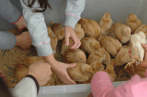 a0094711_1615047.gif