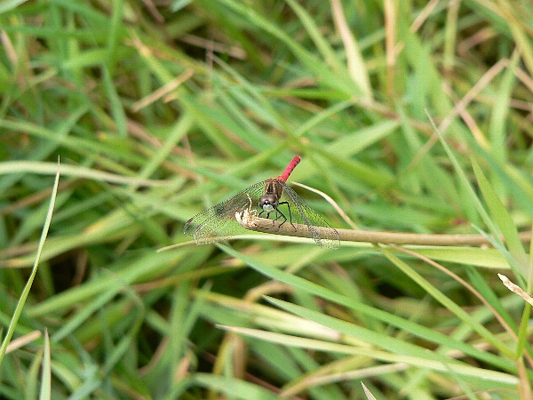 e0002314_15492337.jpg