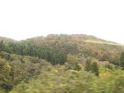 e0090714_1004111.jpg
