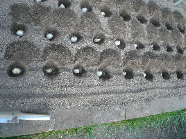 e0026017_10584060.jpg