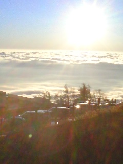 d0051418_21461185.jpg