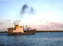 a0043520_1027720.jpg