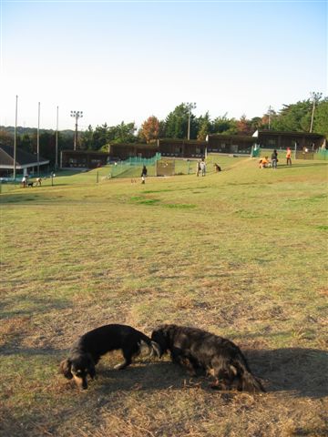 f0002532_4262169.jpg