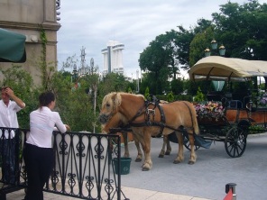 c0124834_3451574.jpg