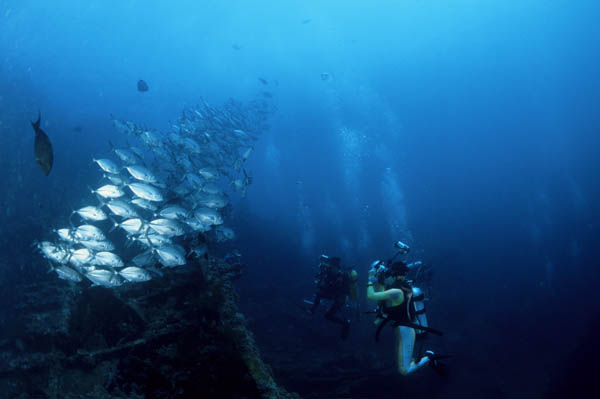 b0042837_1444313.jpg