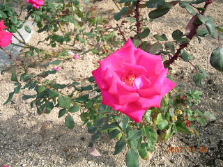 a0030639_213647100.jpg