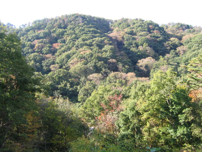 e0049740_22573883.jpg