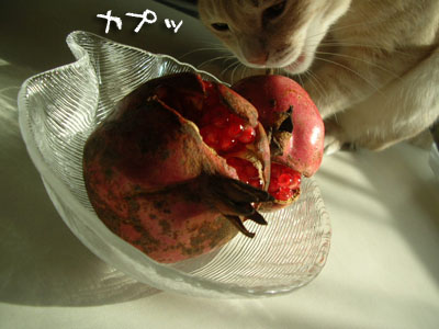 c0096342_1539396.jpg