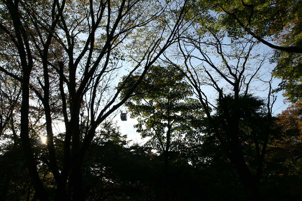 a0076043_20113790.jpg