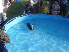 d0129745_1017368.jpg