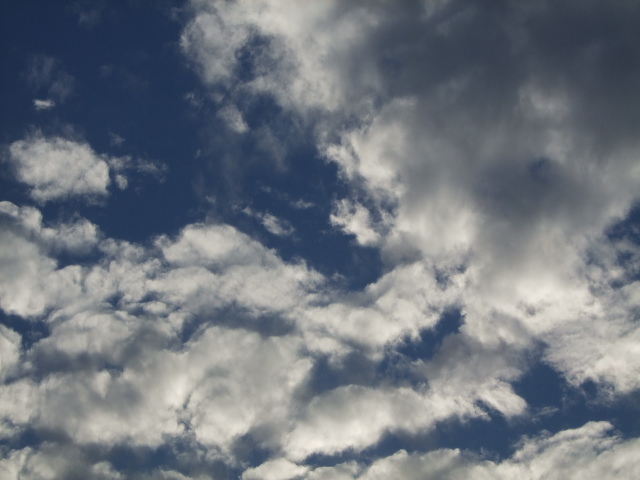 b0060646_23543895.jpg