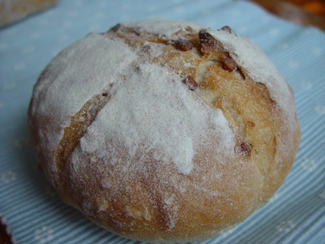 e0073947_204099.jpg