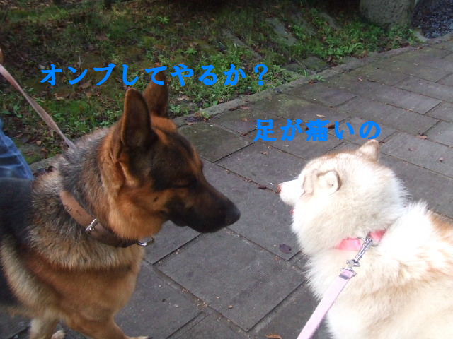 e0121548_21193629.jpg