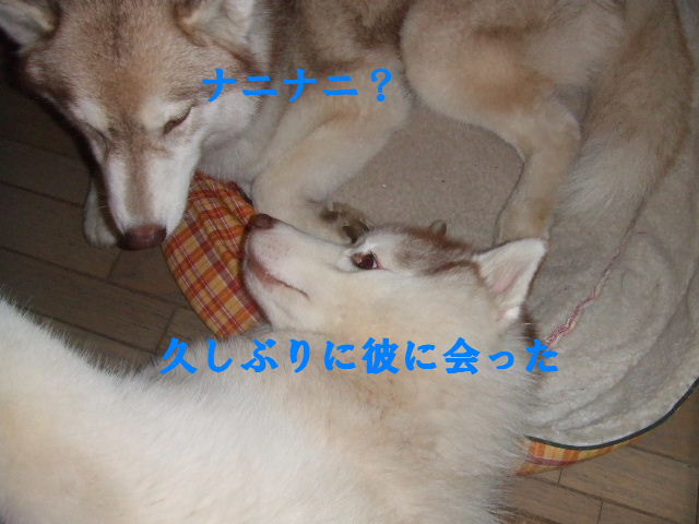 e0121548_21311983.jpg