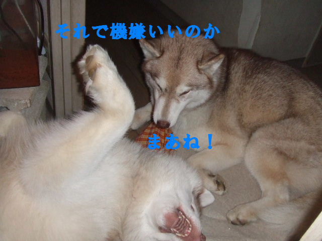 e0121548_2132371.jpg