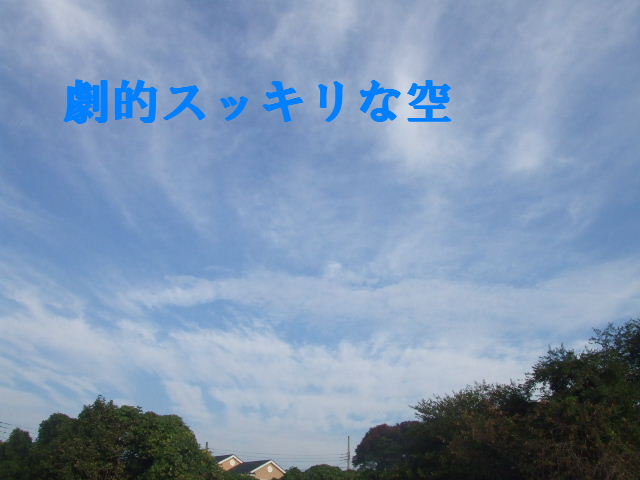 e0121548_2143631.jpg