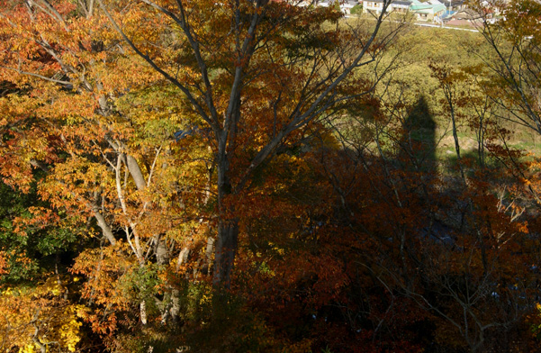 b0029350_10341352.jpg