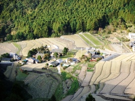 c0081552_14242759.jpg