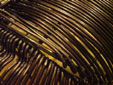 d0029958_16114132.jpg