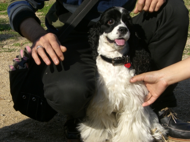 d0111558_1658475.jpg
