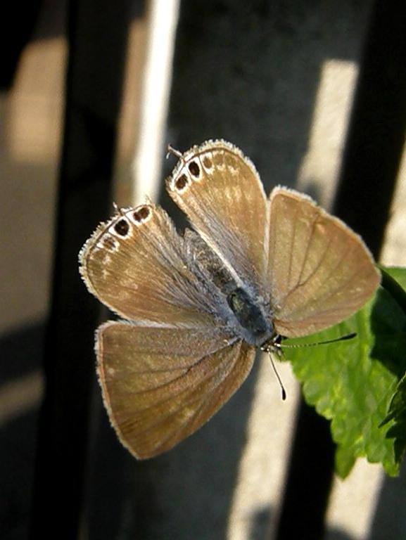 e0064158_2158082.jpg