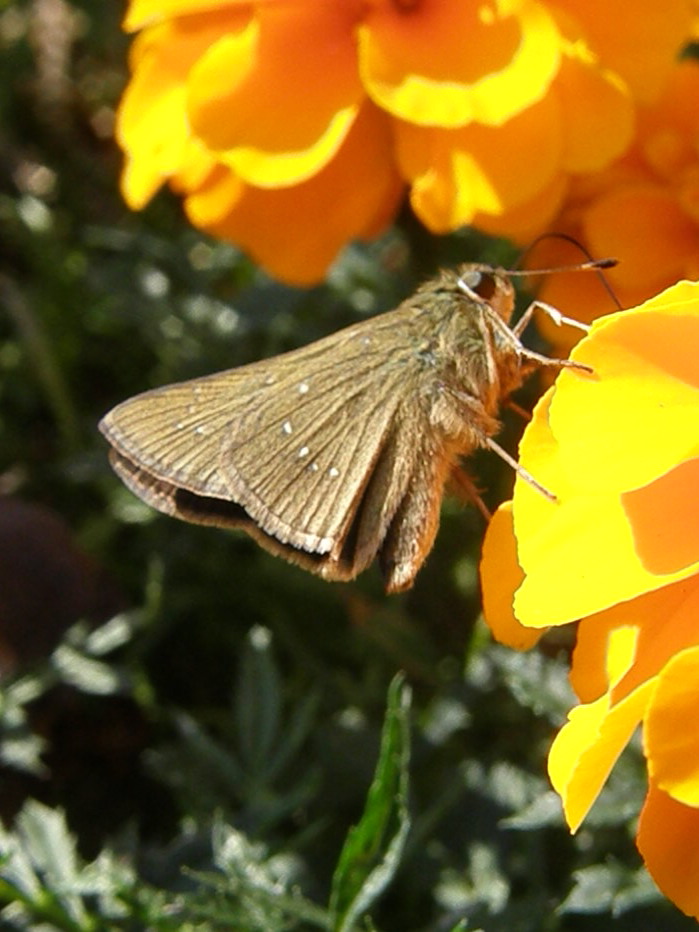 e0064158_21591092.jpg