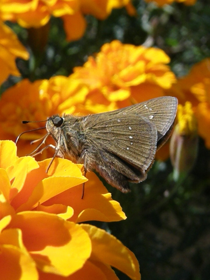 e0064158_220507.jpg