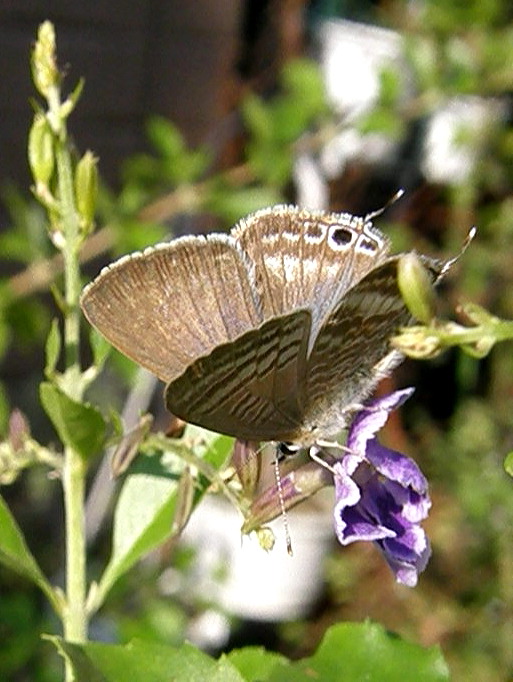 e0064158_2211156.jpg