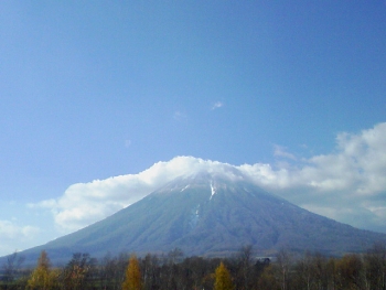 a0004359_20362246.jpg