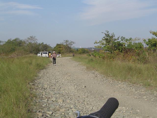 b0024266_1748471.jpg