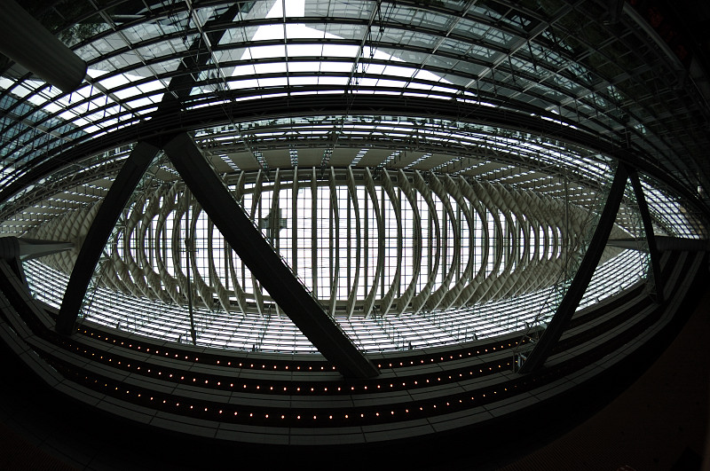 c0084666_1257496.jpg