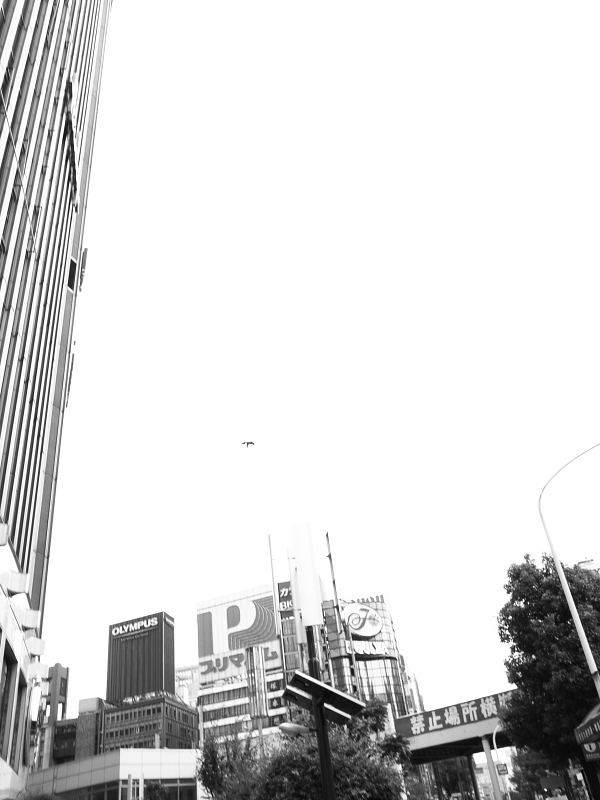 c0084666_1312589.jpg