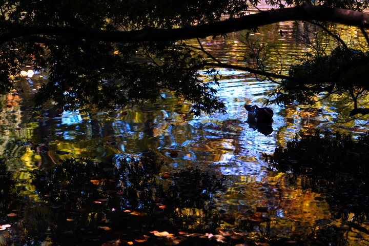 b0027267_18161219.jpg