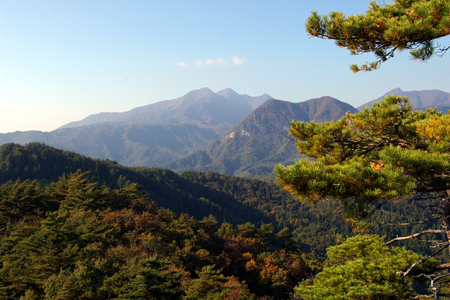 c0032567_140327.jpg