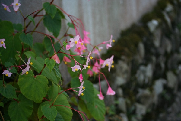b0084270_153463.jpg