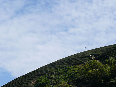 c0107075_22232428.jpg