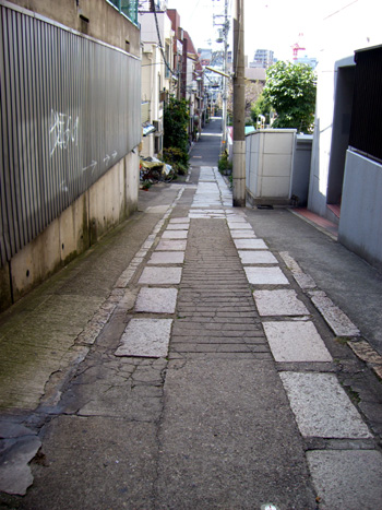 d0051178_8584785.jpg