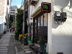 d0051178_8593142.jpg