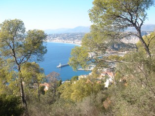 f0136579_13252.jpg