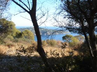 f0136579_133194.jpg