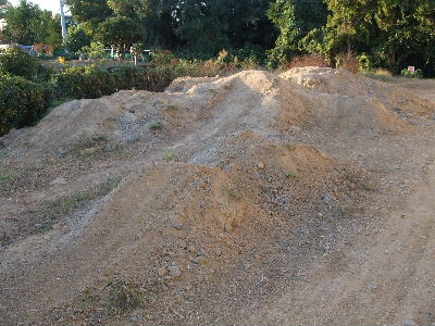 e0055880_0505179.jpg
