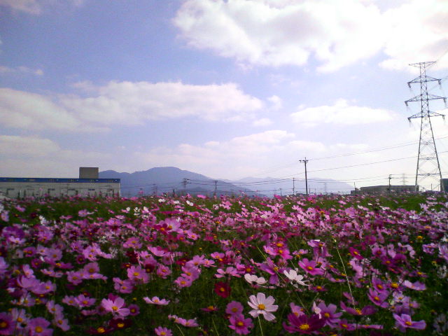 a0028482_14144236.jpg